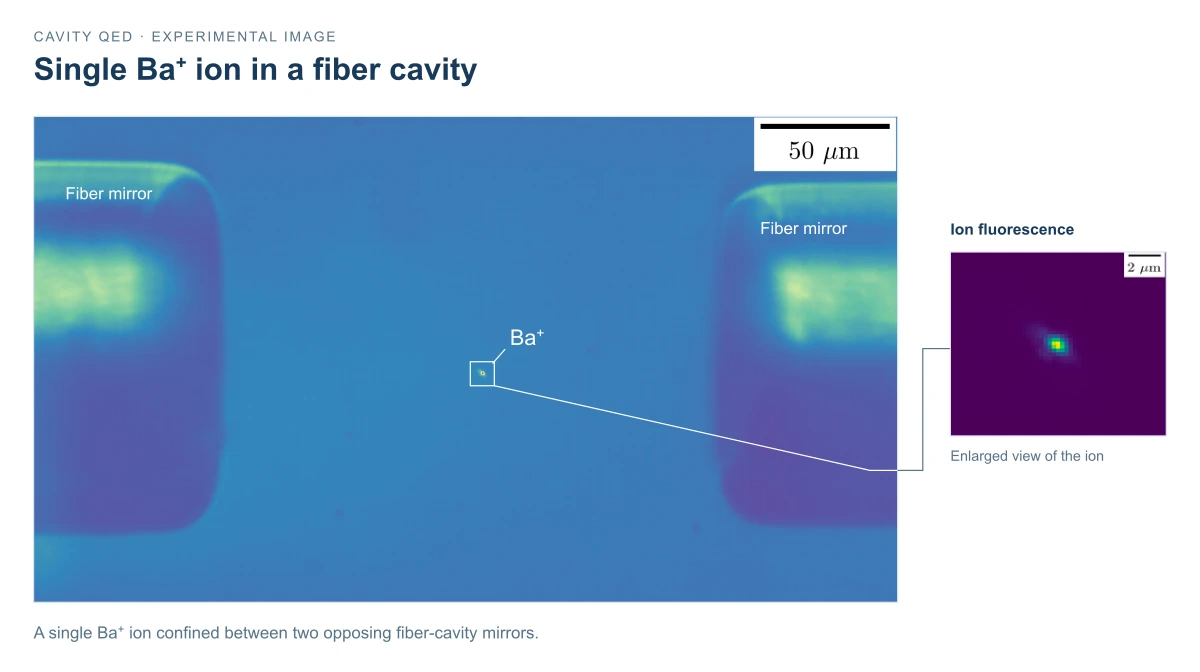 A single Ba⁺ ion trapped between two fiber-cavity mirrors, with an enlarged fluorescence view at right. Scale bars are 50 μm in the overview and 2 μm in the close-up.