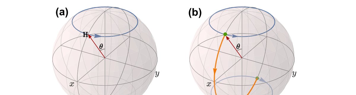 Dynamics of Hamiltonian on Bloch sphere