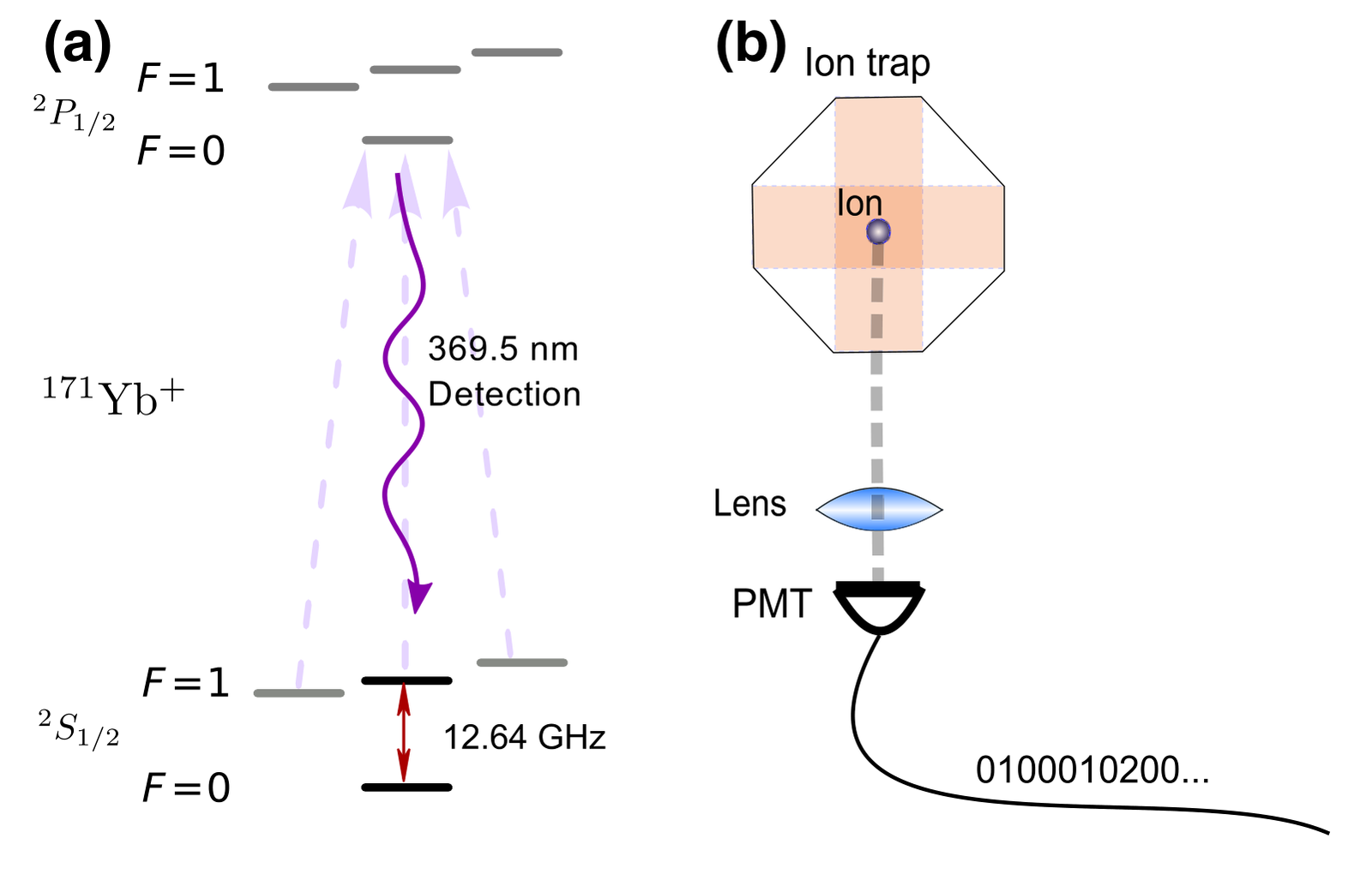 Qubit energy levels and fluorescence detection used for single-ion readout.