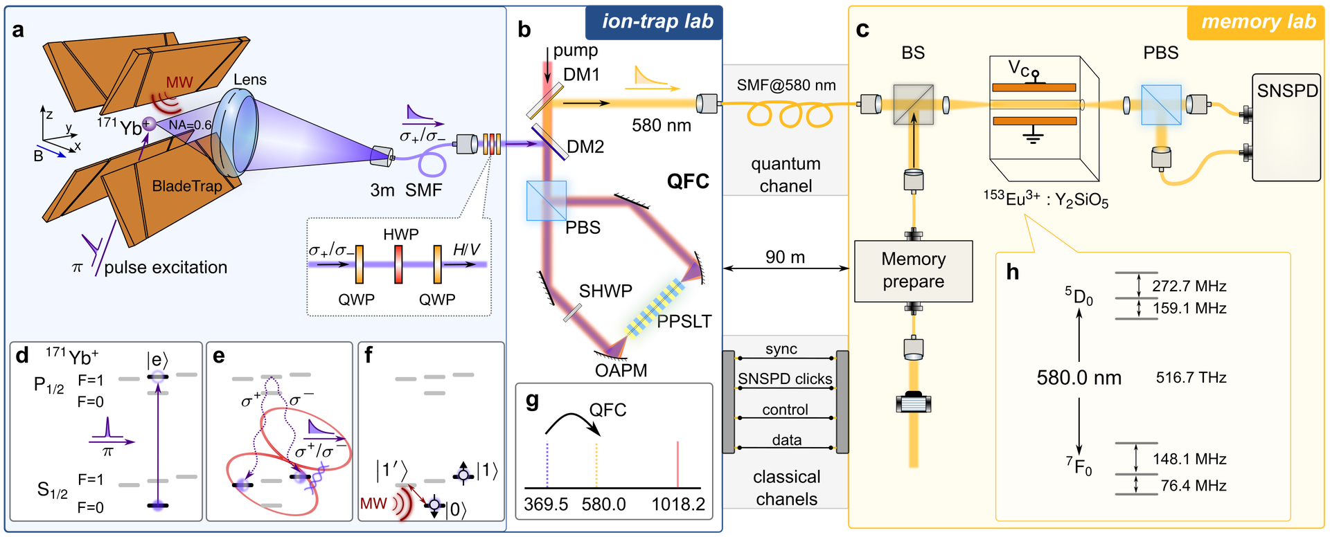 Experimental system linking a trapped ion, polarization-preserving frequency conversion and a solid-state quantum memory