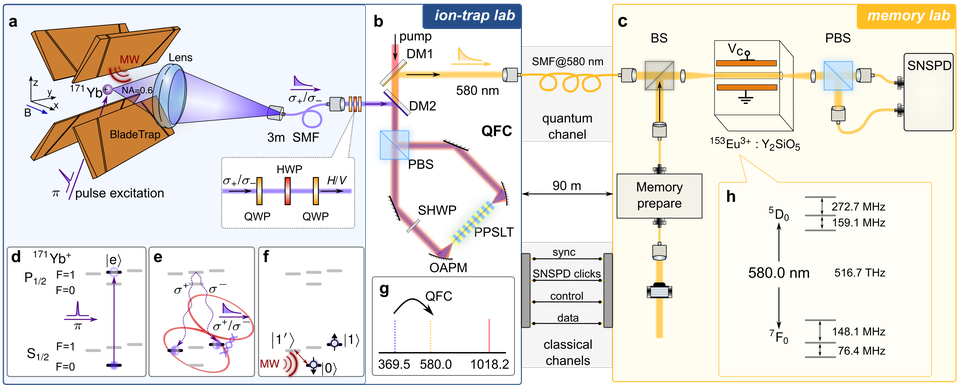 Experimental setup linking the trapped-ion node, polarization-preserving quantum frequency converter and solid-state quantum memory.