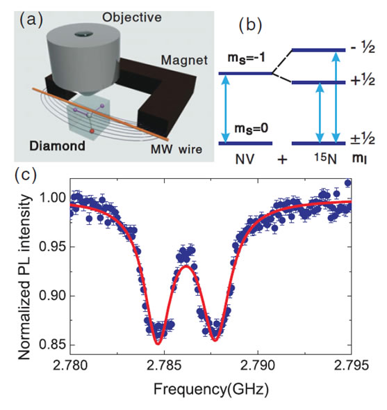 Vector magnetic field sensing by a single nitrogen vacancy center in diamond