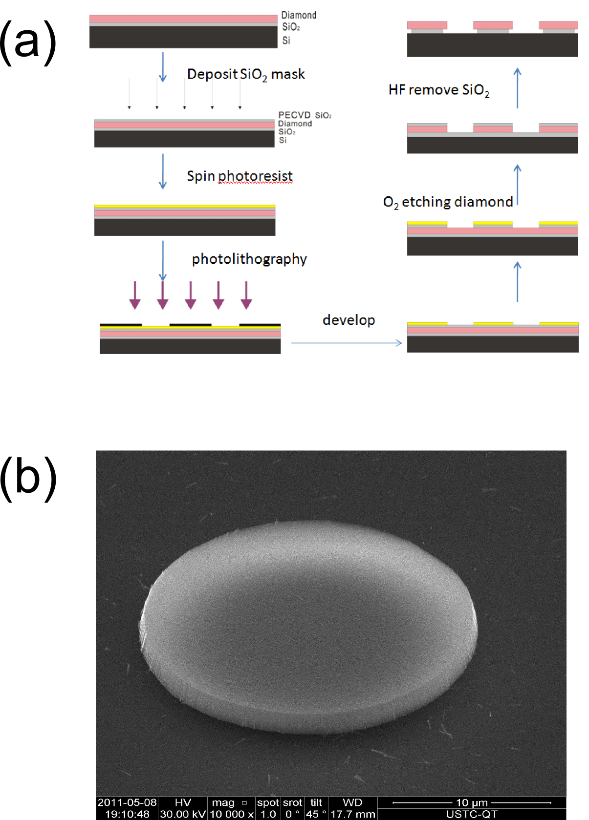 image: 5F__work_GroupWeb_fig_diamond.png