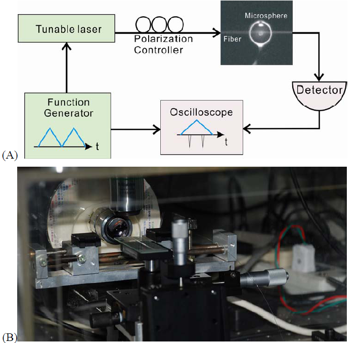 image: 7F__work_GroupWeb_fig_coupling.png