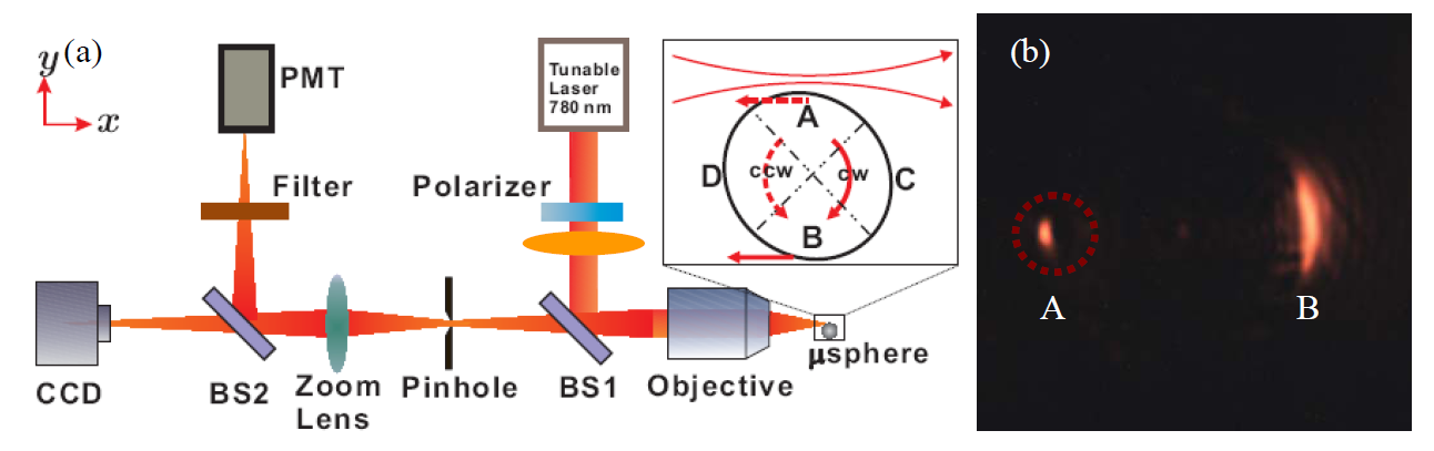 image: 8F__work_GroupWeb_fig_deformed_sphere.png